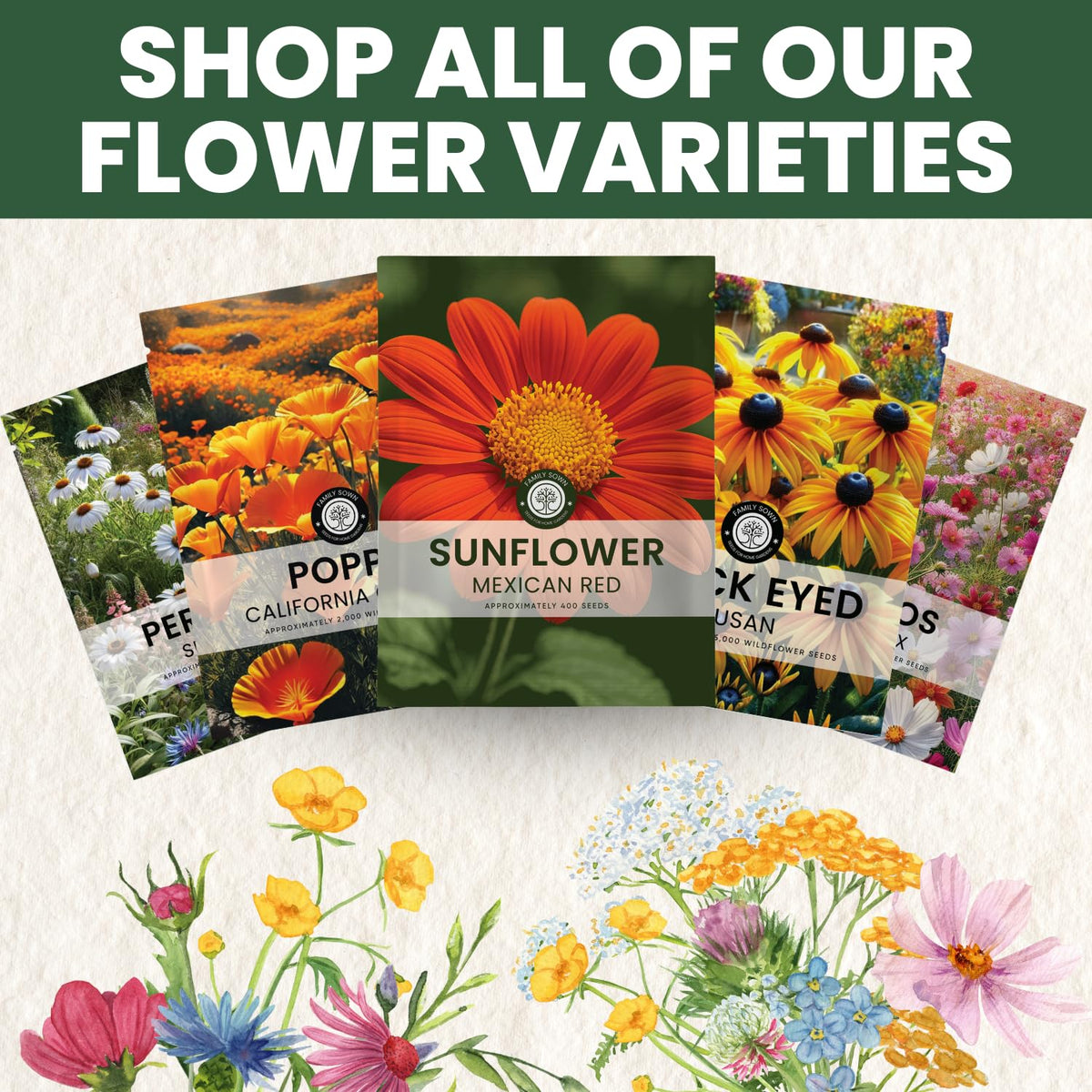 Family Sown Mexican Sunflower Red field-planting guides clear and helpful.