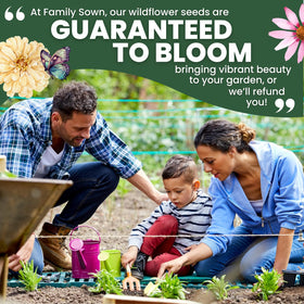 FAMILY SOWN multi-species seed mix offers rapid bloom variety.