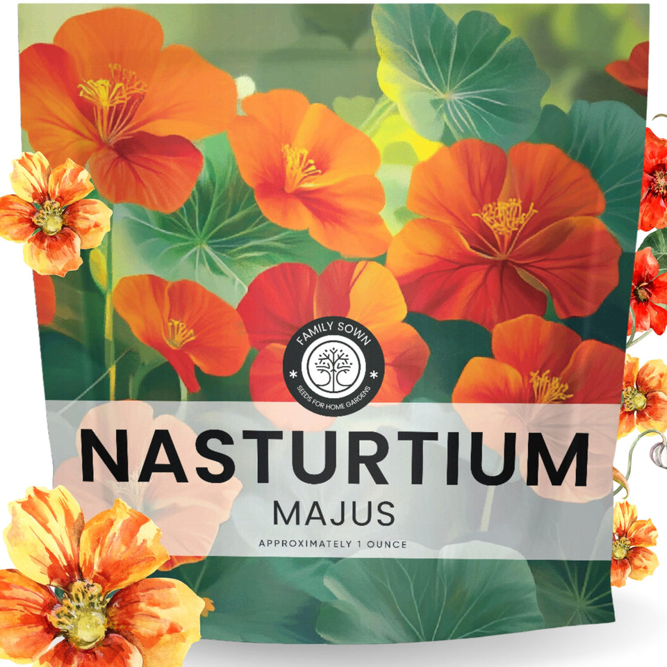 Family Sown nasturtium majus large packet ready for easy planting.