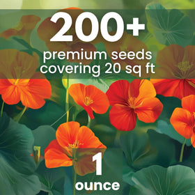 Family Sown nasturtium majus shows over 200 live seeds for quick garden coverage.