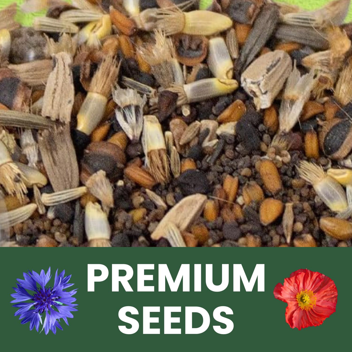 FAMILY SOWN Northeast Natives Mix 1-ounce pouch preserving seed viability for planting.