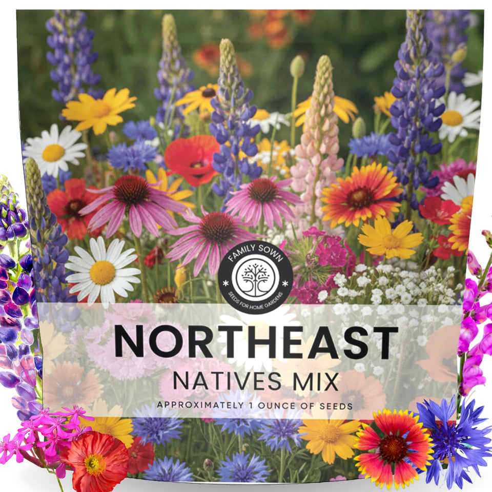 FAMILY SOWN Northeast Natives Mix seed pack for naturalized meadow borders and pollinator-friendly color.