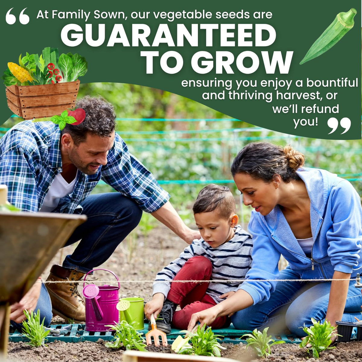 Family Sown Heirloom Clemson Spineless seeds emphasize heritage and dependable yields.