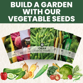 Family Sown Okra pods close-up highlights smooth texture and tender pods.