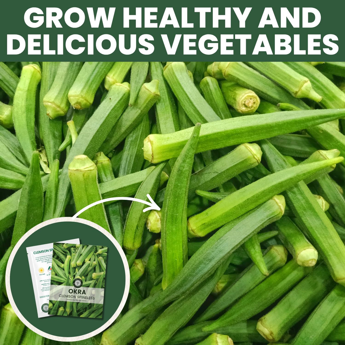Family Sown Clemson Spineless okra pods ideal for frying and stews.