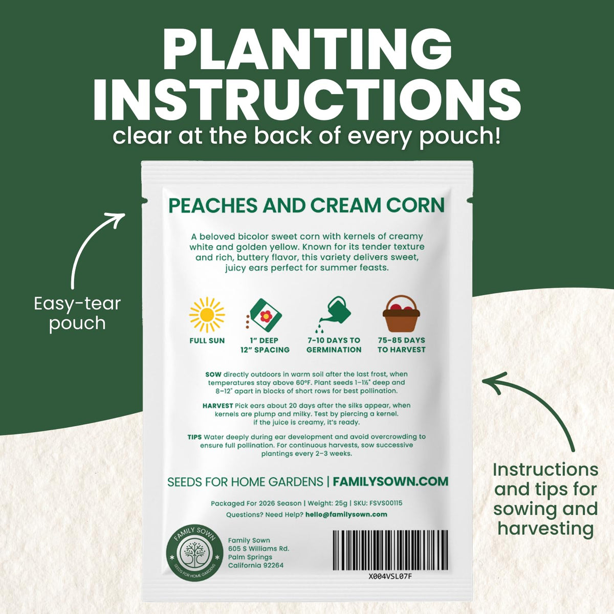 Family Sown Peaches and Cream corn in garden — sturdy plants with flavorful ears.
