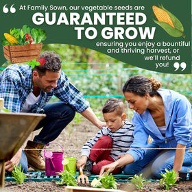 Family Sown Peaches and Cream corn planting card — clear steps to maximize germination