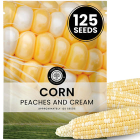 Family Sown Peaches and Cream corn seeds packet — reliable germination for a strong garden start.