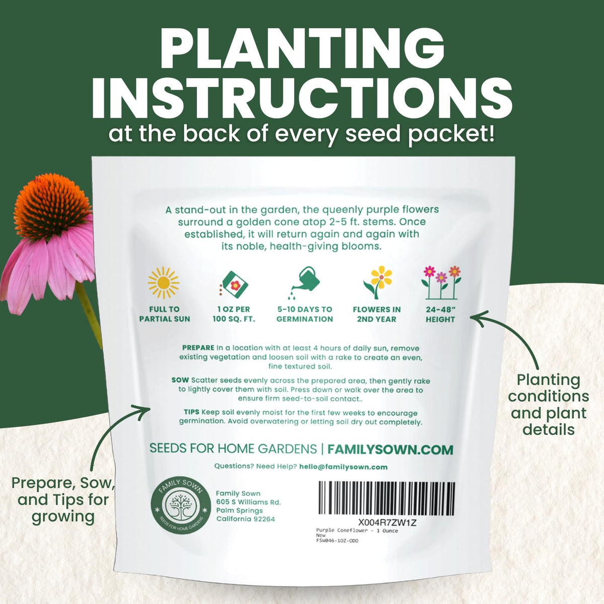 Family Sown perennial border idea with coneflower for lasting color.