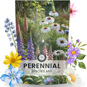 Family Sown perennial mix 4oz pouch showcasing bulk seeds for a vibrant, pollinator-friendly bed.