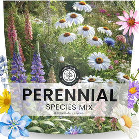 Family Sown 1oz seed packet featuring perennial mix for pollinator-friendly blooms.