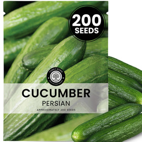 FAMILY SOWN Persian cucumber seeds in a 6g pouch, ready for reliable planting.