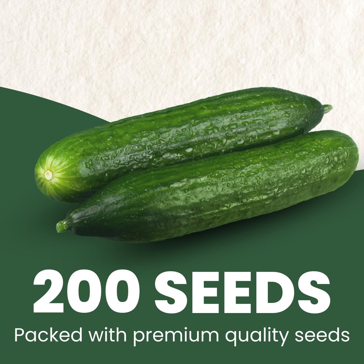 FAMILY SOWN seeds germination-ready close-up suggests strong vigor for a healthy crop.