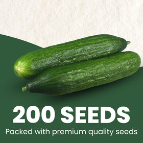 FAMILY SOWN seeds germination-ready close-up suggests strong vigor for a healthy crop.