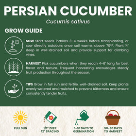 Compact cucumber plants trained on a trellis in a small garden with FAMILY SOWN seeds.