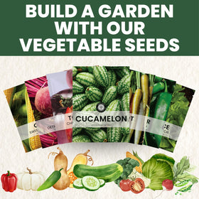 Family Sown planting instructions guide helps gardeners start seeds confidently.