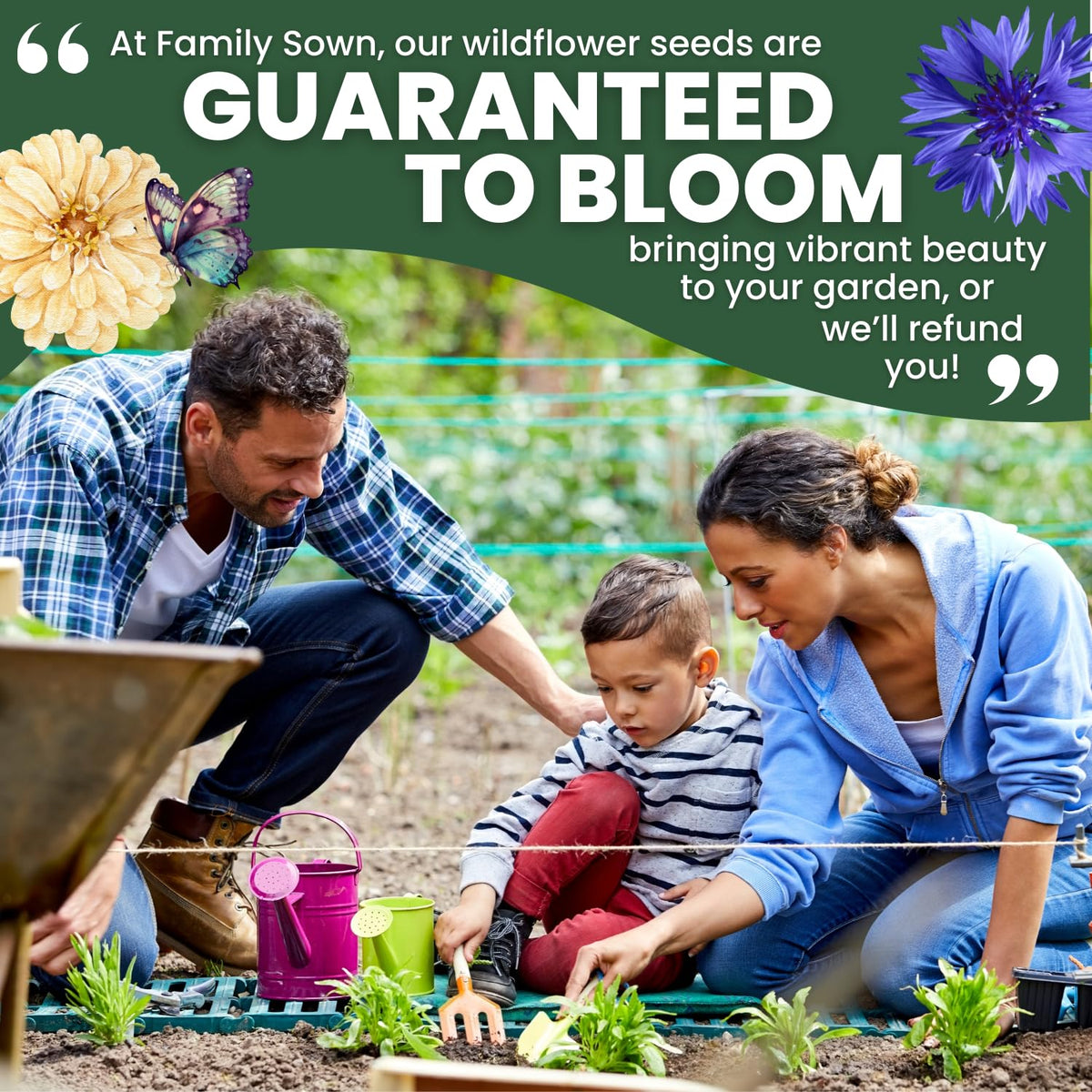 Family Sown clear planting instructions support reliable spring sowing.