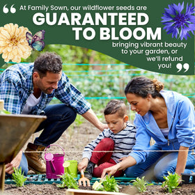 Family Sown clear planting instructions support reliable spring sowing.