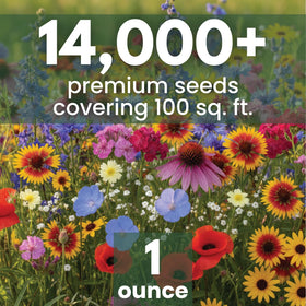 Family Sown Midwest blend seeds enable vibrant wildflower patches and pollinator-friendly gardens.