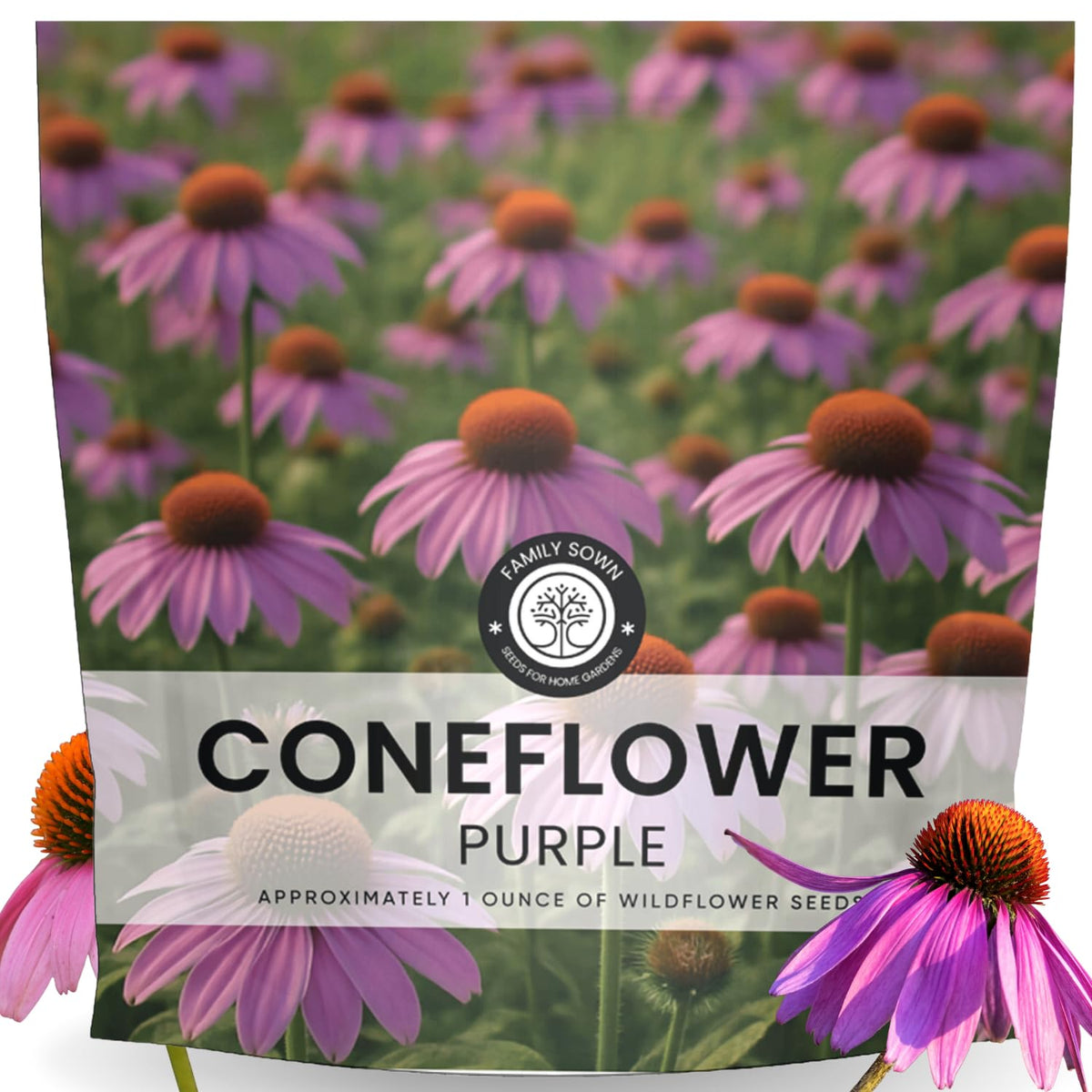 Family Sown purple coneflower seeds pack for easy perennial beds.