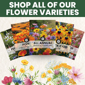 FAMILY SOWN sealed freshness packet preserves viability and freshness.