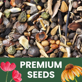 Giftable packaging design from Family Sown for Black-Eyed Susan seeds.