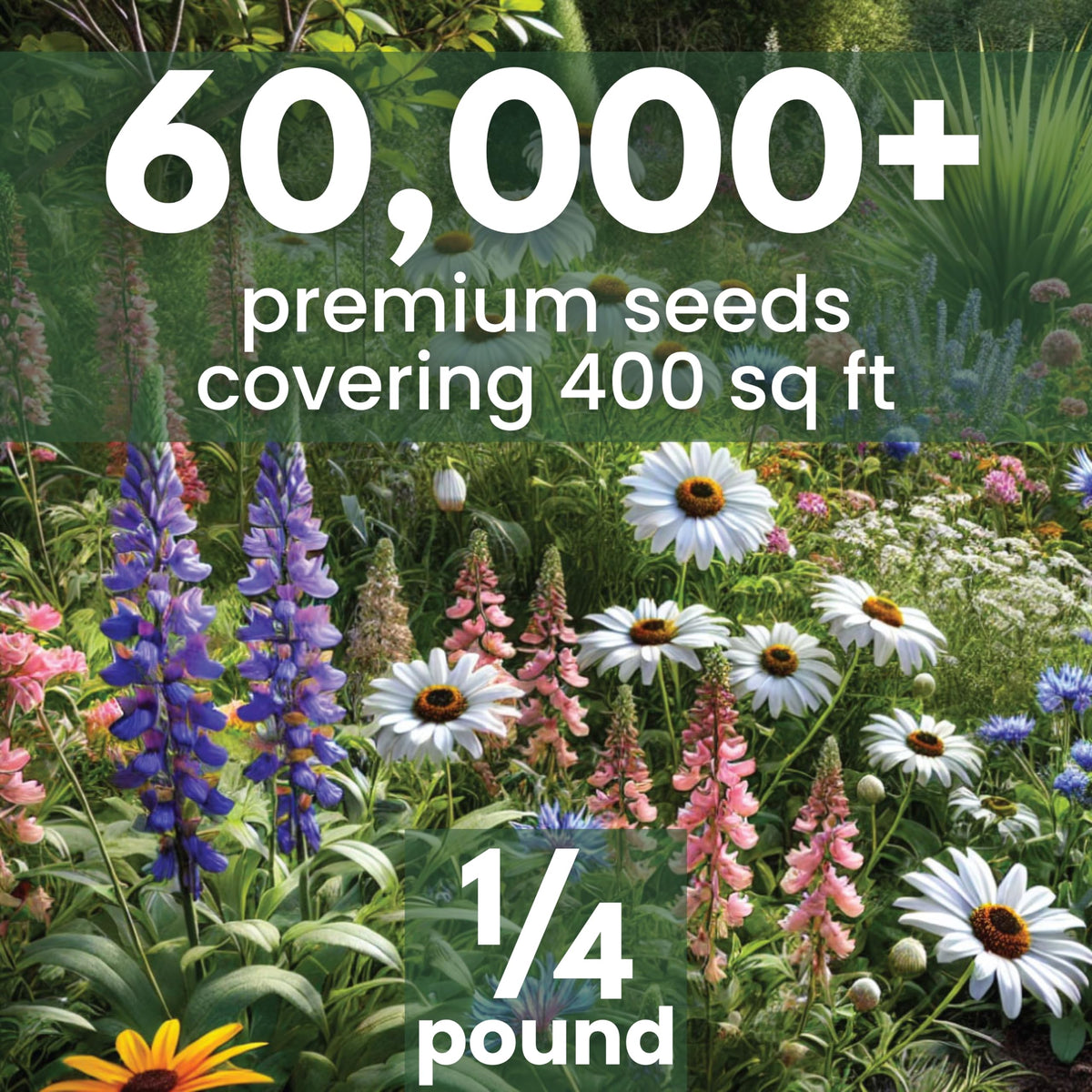 Family Sown seed packaging highlighting freshness and easy planting for beginners.