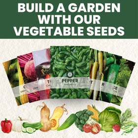 Family Sown planting instructions included in packet for beginners