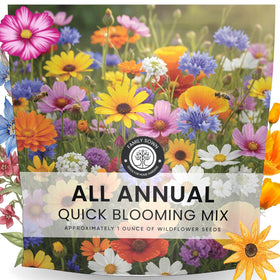 FAMILY SOWN All Annual Quick Blooming Mix seed packet ready for fast, color-packed planting.