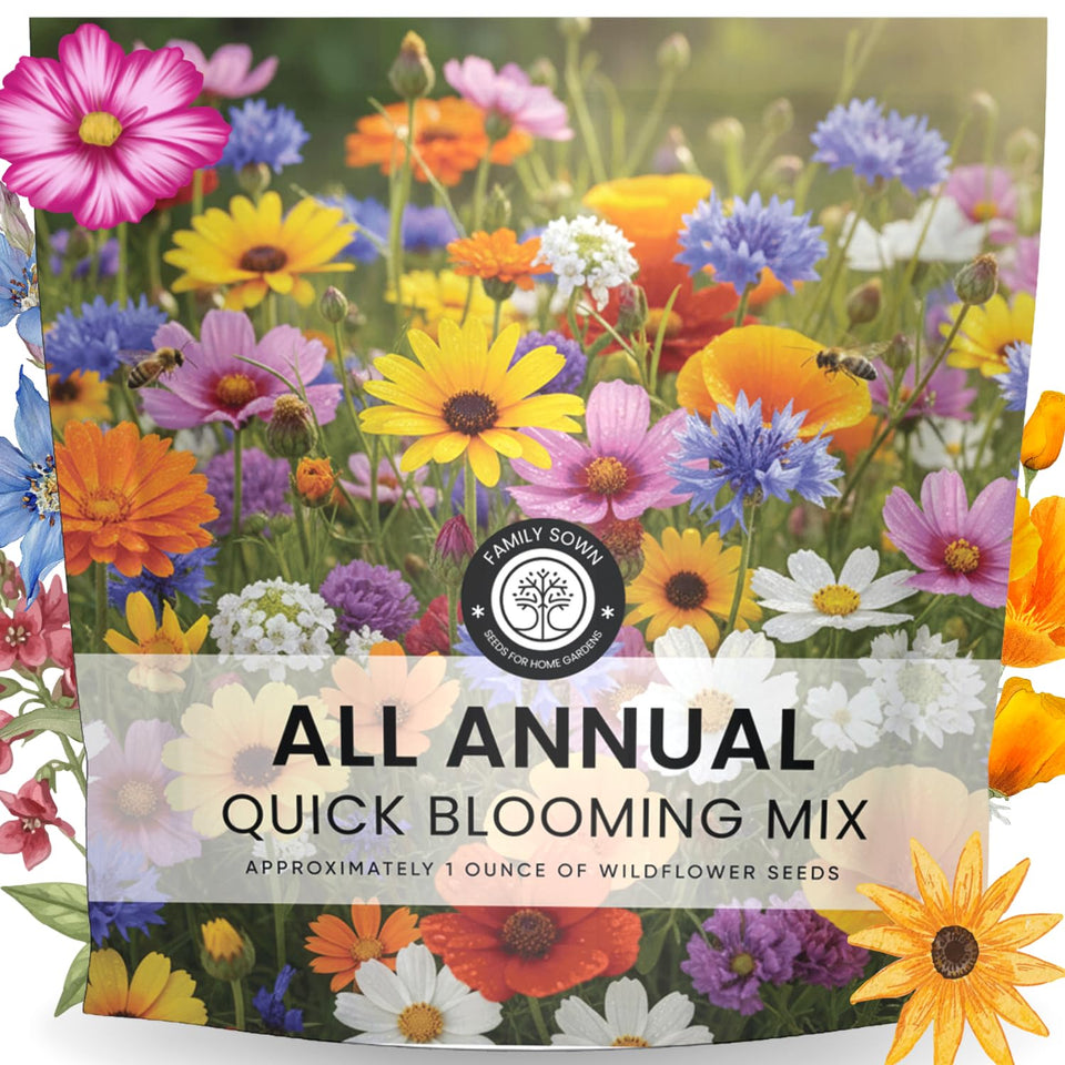 FAMILY SOWN All Annual Quick Blooming Mix seed packet ready for fast, color-packed planting.