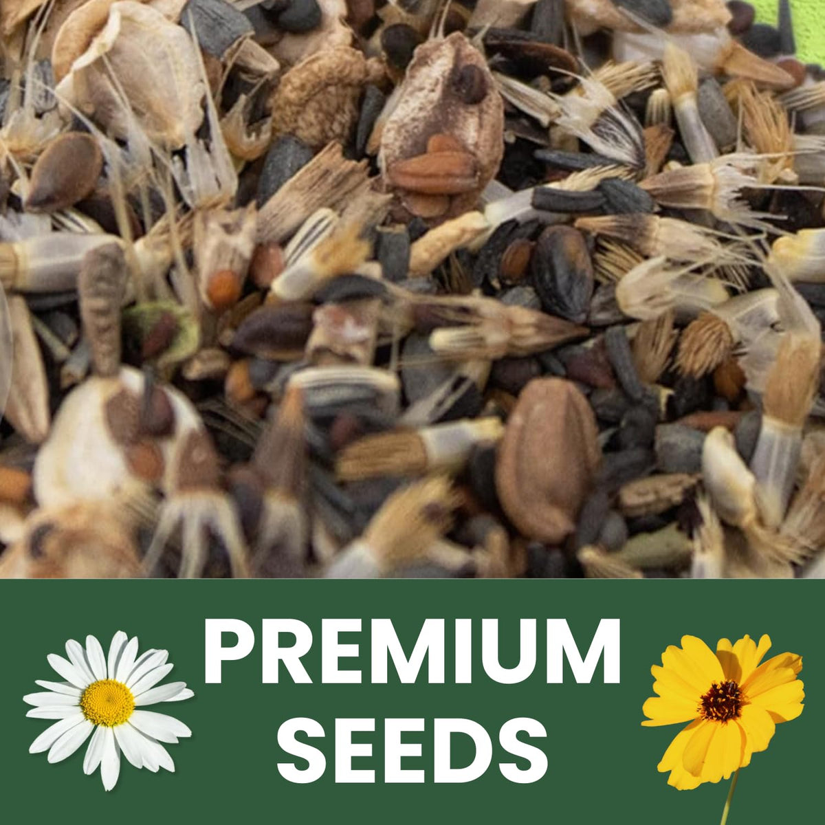 Family Sown 1-ounce seed pouch preserves viability with easy sowing guidance.