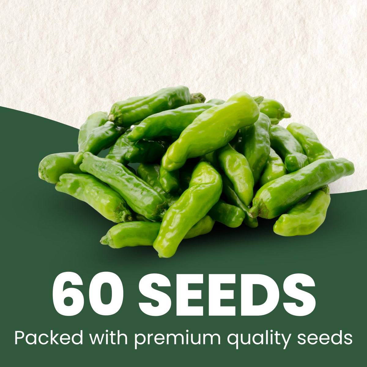 Family Sown seed pouch 500mg close-up showing moisture protection for freshness