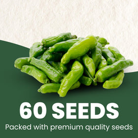 Family Sown seed pouch 500mg close-up showing moisture protection for freshness