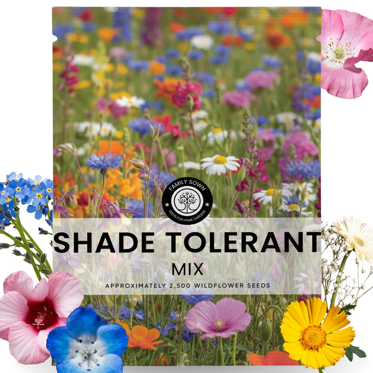 FAMILY SOWN shade-tolerant mix seeds in a resealable pouch for easy shade gardening.