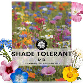 FAMILY SOWN shade-tolerant mix seeds in a resealable pouch for easy shade gardening.