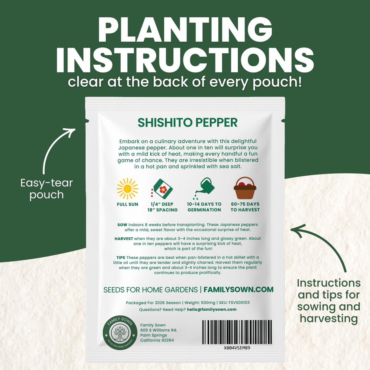 Family Sown Shishito plant growth stage photo depicting early flowering