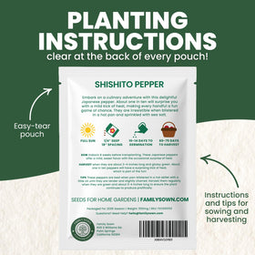 Family Sown Shishito plant growth stage photo depicting early flowering