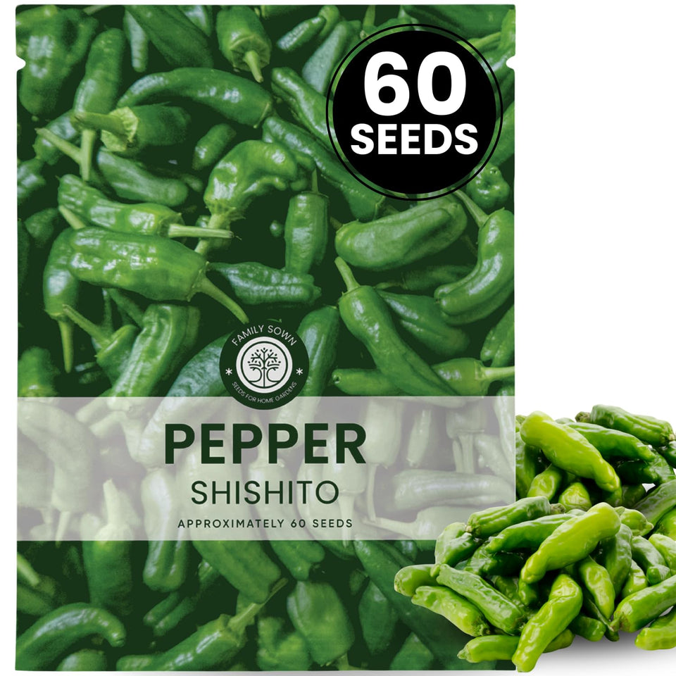 Family Sown Shishito seeds 60-count packaging with high germination potential
