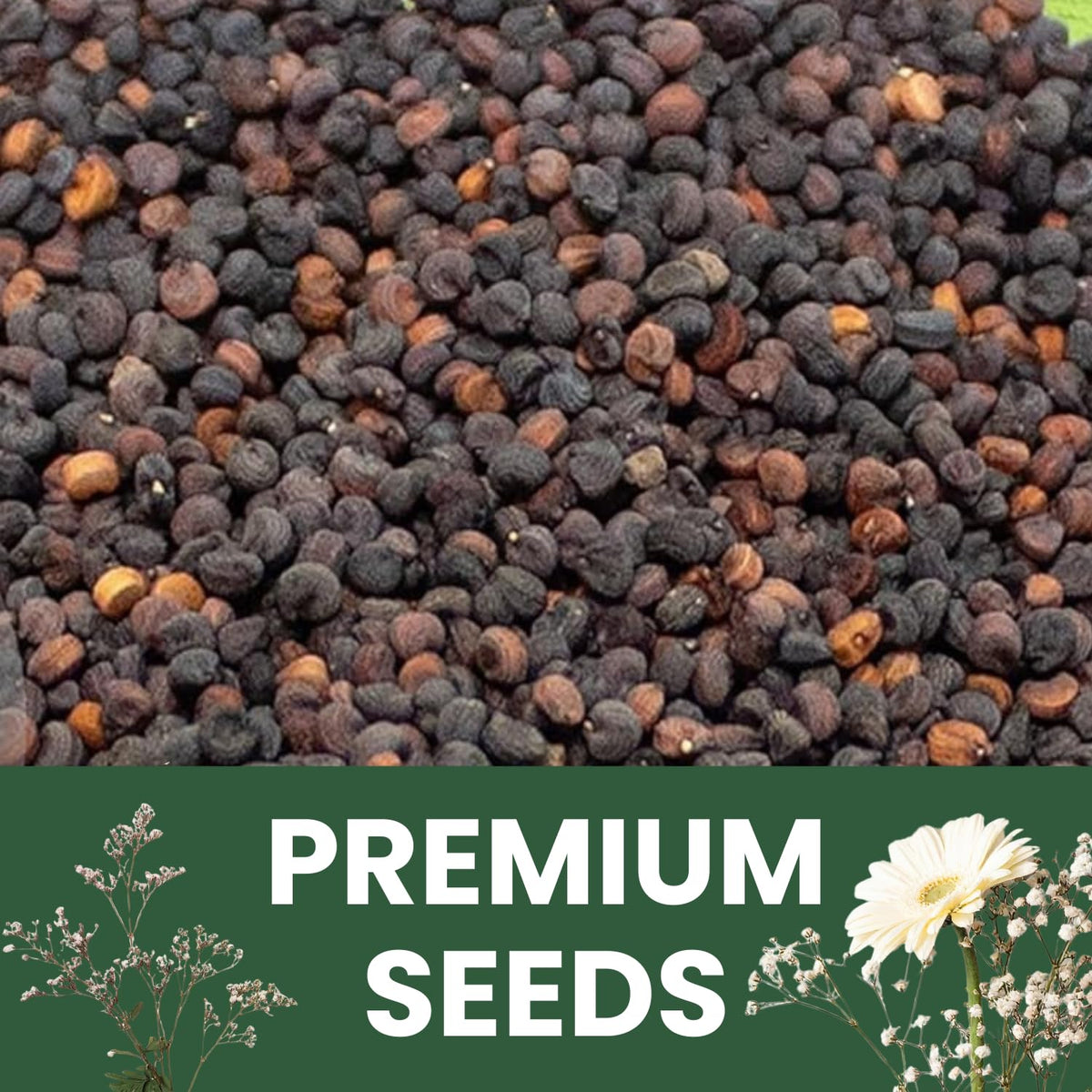 Family Sown includes simple planting instructions for confident sowing