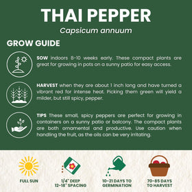 Family Sown Thai Pepper hot peppers on the plant with vibrant color