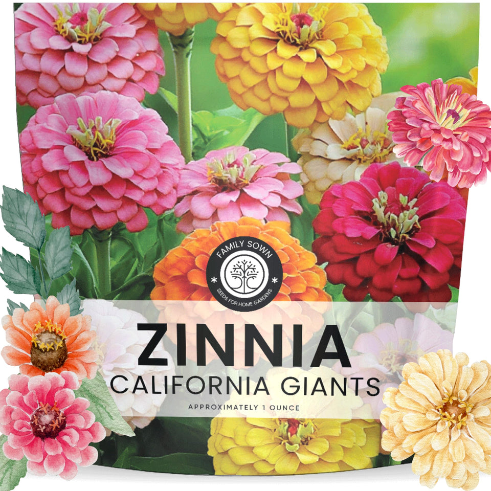 Family Sown Zinnia California Giants seeds in a 1oz packet for easy garden sowing.