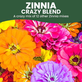 Family Sown Zinnia Crazy Blend 1-ounce pouch supports easy, beginner-friendly planting and quick blooms.