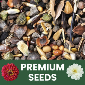 Family Sown Zinnia Crazy Blend varieties attract pollinators while delivering continual color.