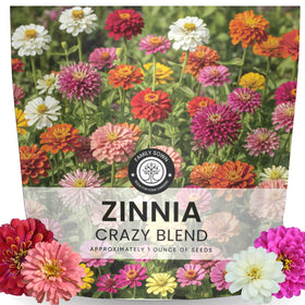 Family Sown Zinnia Crazy Blend seeds brighten borders with bold color.