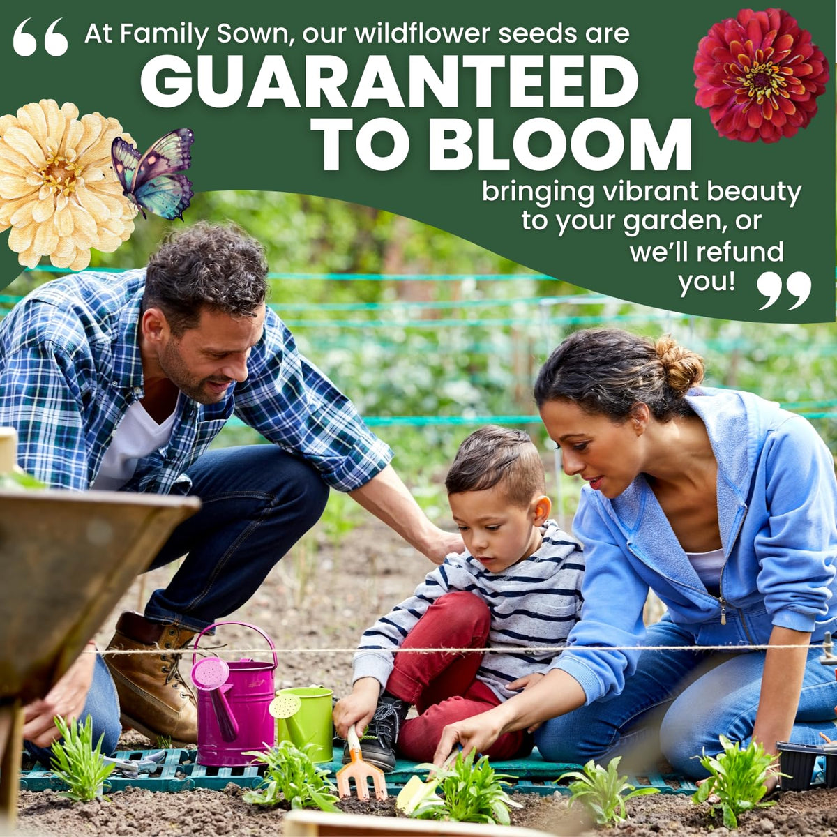 Family Sown Zinnia Crazy Blend seeds ship fresh for 2026 sowing and reliable germination.