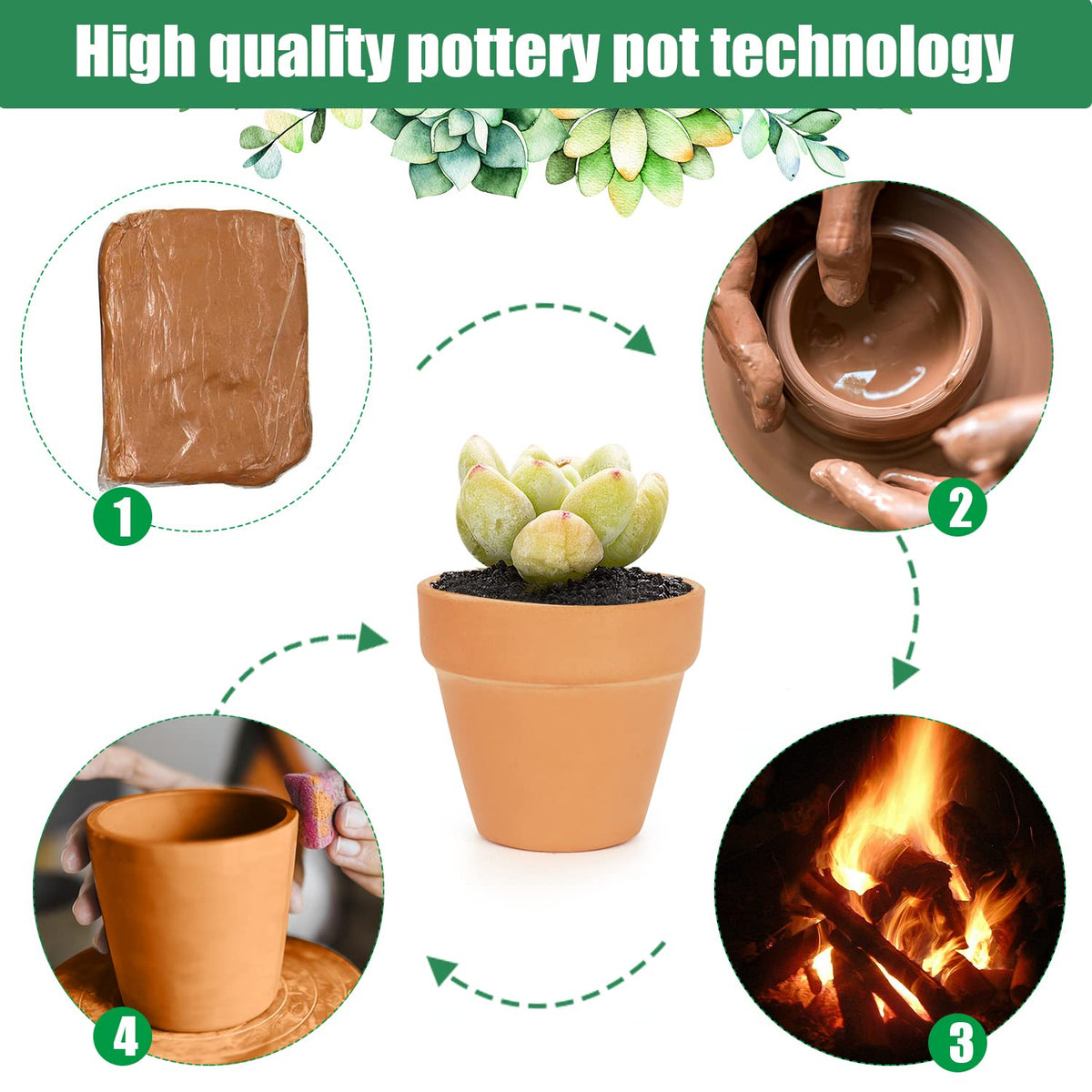Family terra cotta pot with drainage hole, promotes healthy watering.