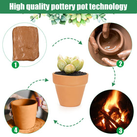 Family terra cotta pot with drainage hole, promotes healthy watering.