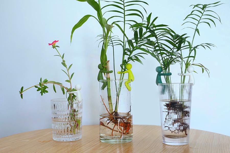 Gift-ready Famiphotogifts Plant Propagation Buddy shown as a thoughtful plant lover gift.