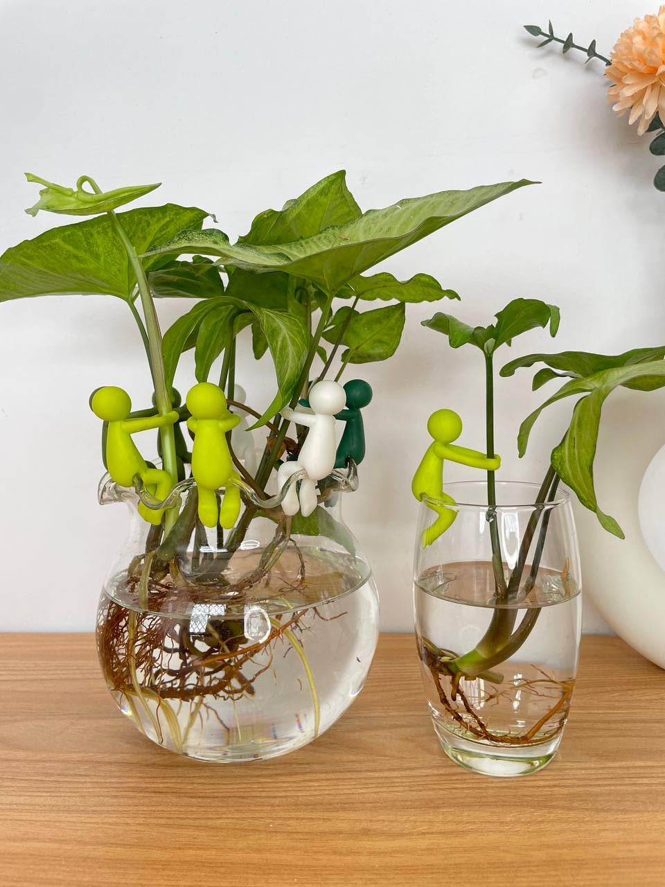 Indoor garden scene with Famiphotogifts Plant Propagation Buddy enhancing propagation stations.