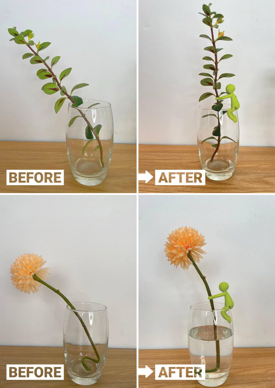 Famiphotogifts Plant Propagation Buddy enabling water-rooting in a clear vase